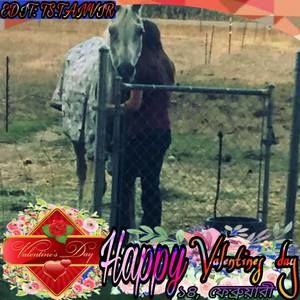 Meet your Posher, Raine